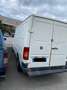 Volkswagen LT Bianco - thumbnail 2