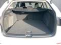 Volkswagen Golf Variant Life TDI DSG Weiß - thumbnail 21