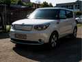 Kia Soul EV Play im Kundenauftrag Blanco - thumbnail 27