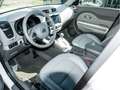 Kia Soul EV Play im Kundenauftrag Blanco - thumbnail 11