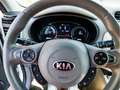 Kia Soul EV Play im Kundenauftrag Blanco - thumbnail 23
