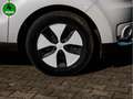 Kia Soul EV Play im Kundenauftrag Blanco - thumbnail 5
