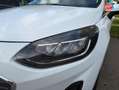 Ford Fiesta 1.0 Flexifuel 95ch Titanium Business 5p Radar AR Blanc - thumbnail 13