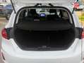 Ford Fiesta 1.0 Flexifuel 95ch Titanium Business 5p Radar AR Blanc - thumbnail 14