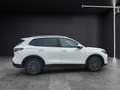 Volkswagen Tiguan eTSI Life DSG LED AHK Navi AID ACC RFK SH Weiß - thumbnail 8