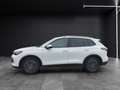 Volkswagen Tiguan eTSI Life DSG LED AHK Navi AID ACC RFK SH Weiß - thumbnail 4