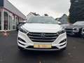 Hyundai TUCSON blue 2.0 CRDI Style 2WD Weiß - thumbnail 2