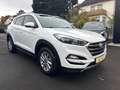 Hyundai TUCSON blue 2.0 CRDI Style 2WD Weiß - thumbnail 3