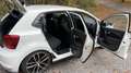 Volkswagen Polo GTI 230 ABT LIMITED EDITION Weiß - thumbnail 17