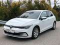 Volkswagen Golf 8, 1.Besitz,*Garantie*,Pickerl Neu,FINANZ.MÖGL. Bianco - thumbnail 1