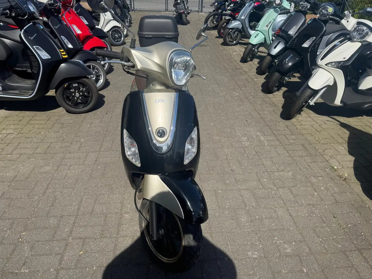 SYM FIDDLE III 125 TÜV NEU ideal für Einsteiger Zwart - 1