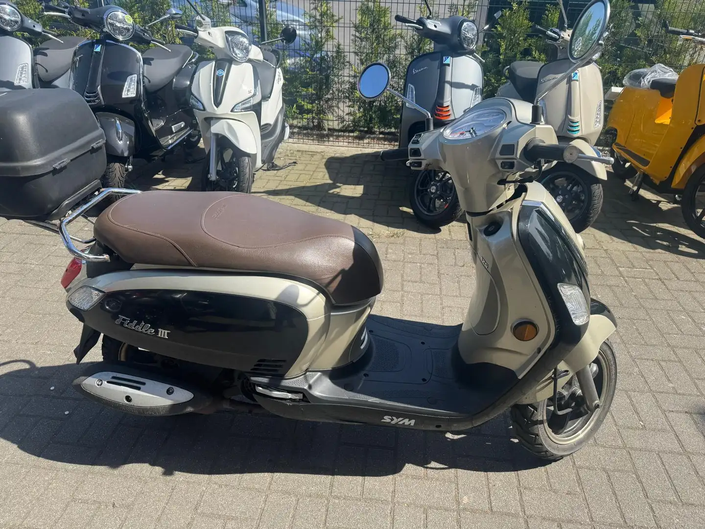 SYM FIDDLE III 125 TÜV NEU ideal für Einsteiger Zwart - 2