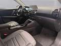 Citroen E-C4 Electric 100kW Plus Gris - thumbnail 14