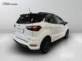 Ford EcoSport 1.0 ecoboost ST-line s&s 125cv auto my19 Bianco - thumbnail 6