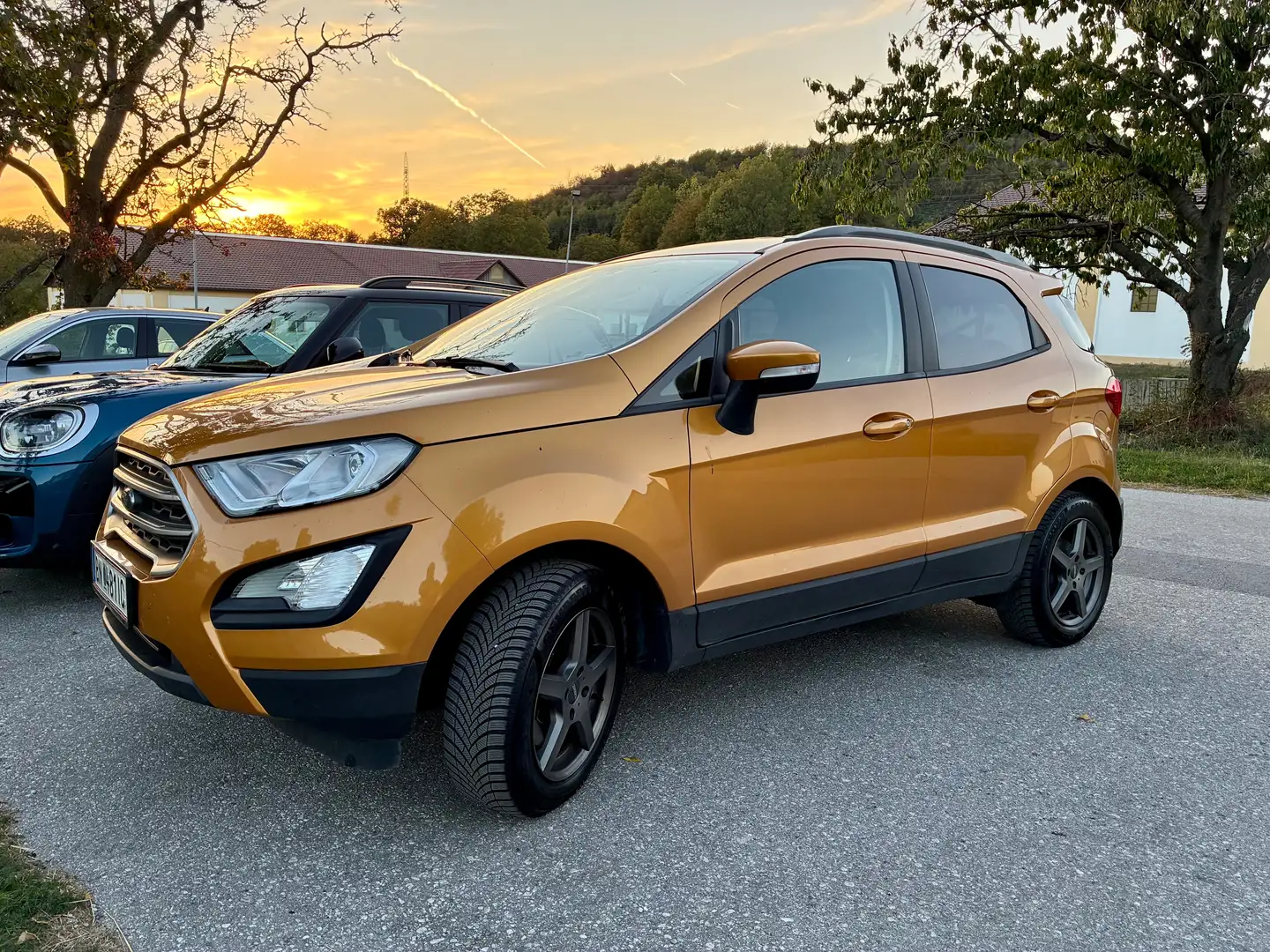 Ford EcoSport EcoSport 1,0 EcoBoost Trend Trend Gold - 1