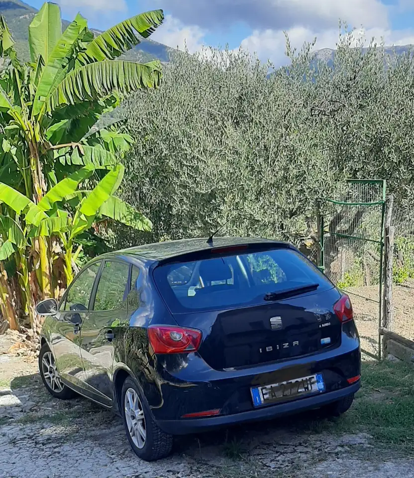 SEAT Ibiza 5p 1.2 GLX (twc) cat., foto 3
