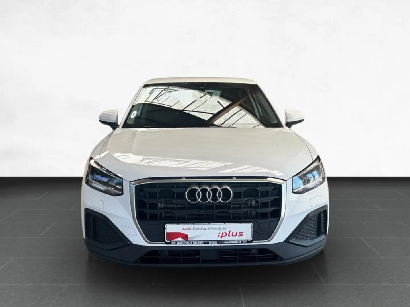 Audi Q2 30 TFSI S-tronic /AHK/LED/Standhz/Rückfahrk. Weiß - 2