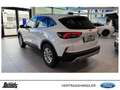 Ford Kuga 2.5 Duratec PHEV TITANIUM WINTER-P. NAVI LED KAMER Weiß - thumbnail 10