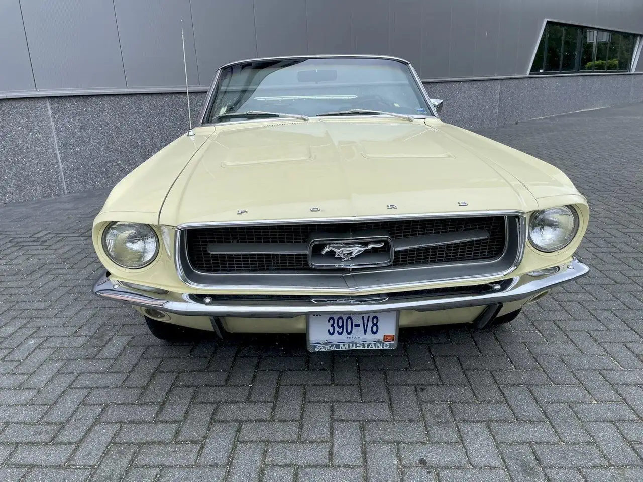 Ford Mustang Convertible s-code 390-320hp, foto 4
