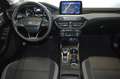 Ford Focus 1.5 ecoblue 120cv Automatica AZIENDALE !!! Grigio - thumbnail 6