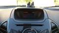 Ford EcoSport 1.0 EcoBoost 125 Titanium Noir - thumbnail 22