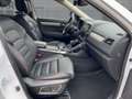 Renault Koleos Initiale Paris Weiß - thumbnail 6