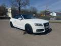 Audi A5 Cabriolet 3.0 TDI quattro*Display*Automatik* Weiß - thumbnail 3