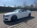 Audi A5 Cabriolet 3.0 TDI quattro*Display*Automatik* Weiß - thumbnail 11