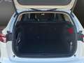 Skoda Enyaq 80x Suite STANDHZ+PANORAMA+NAVI+APP Klima Navi Weiß - thumbnail 21