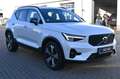 Volvo XC40 T5 Recharge Plus Dark*H&K*BLIS*RFK*AHK Weiß - thumbnail 7