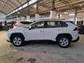 Toyota RAV 4 Rav4 2.5 vvt-ie h Active awd-i 222cv e-cvt Bianco - thumbnail 8