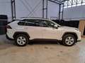 Toyota RAV 4 Rav4 2.5 vvt-ie h Active awd-i 222cv e-cvt Bianco - thumbnail 7