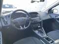 Ford Focus Focus SW 1.5 tdci Titanium Argento - thumbnail 8