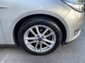 Ford Focus Focus SW 1.5 tdci Titanium Argento - thumbnail 15