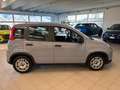 Fiat Panda Panda 1.2 Easy Connect 69cv hybrid Gris - thumbnail 5