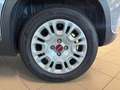 Fiat Panda Panda 1.2 Easy Connect 69cv hybrid Gris - thumbnail 6