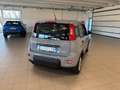 Fiat Panda Panda 1.2 Easy Connect 69cv hybrid Gris - thumbnail 3