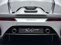Dallara Stradale 6Gear Manual Race-Exhaust Barchetta-Kit Silber - thumbnail 15