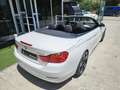 BMW 420 420dA Cabrio Sport Blanc - thumbnail 13