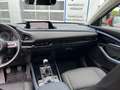 Mazda CX-30 2.0 SKYACTIV-G M Hybrid+Matrix-LED+Navi+Rückfahrka Rouge - thumbnail 11