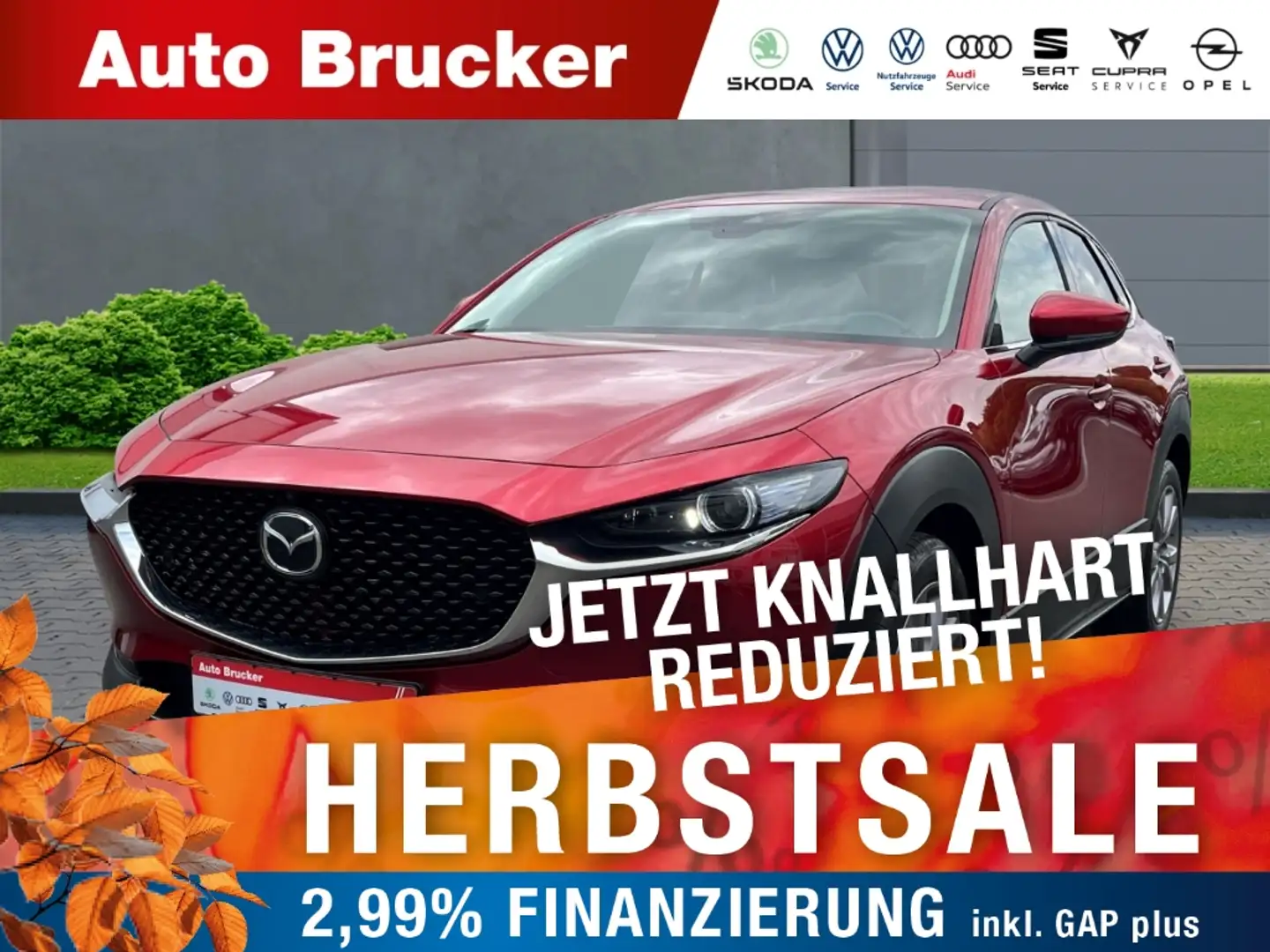 Mazda CX-30 2.0 SKYACTIV-G M Hybrid+Matrix-LED+Navi+Rückfahrka Rouge - 1