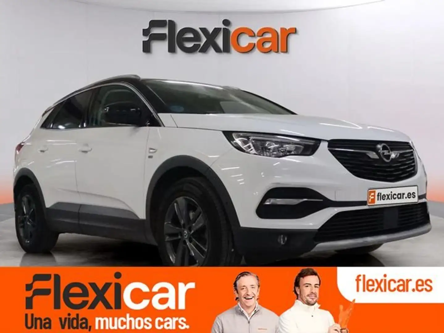 Opel Grandland X 1.5CDTi S&S 120 Aniversario 130 Blanco - 1