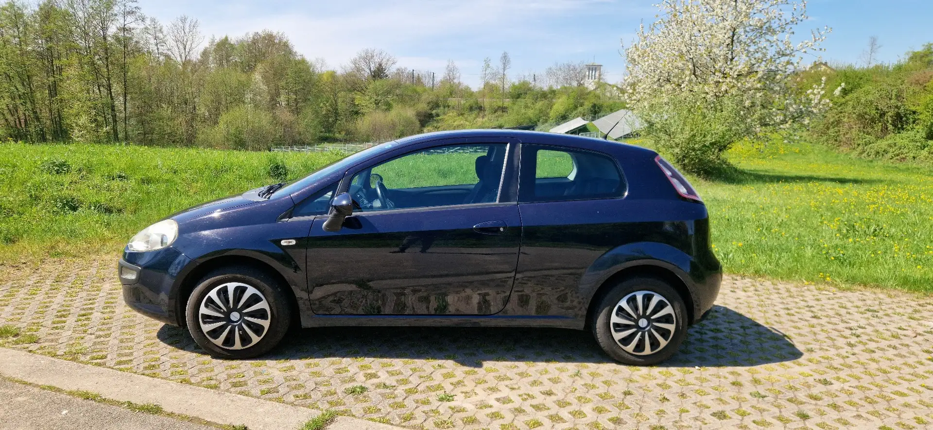 Fiat Punto MyLife Blau - 2