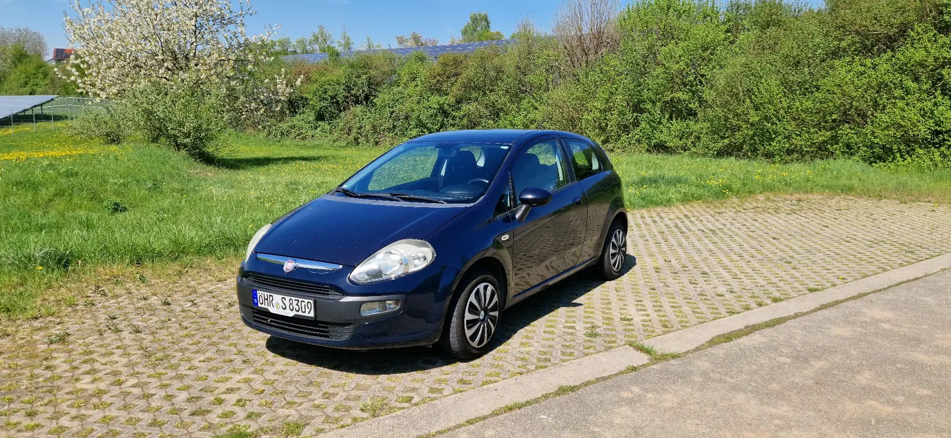 Fiat Punto MyLife Blau - 1