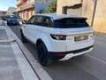 Land Rover Range Rover Evoque 2.2 TD4 Prestige Bianco - thumbnail 6