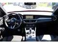 Alfa Romeo Stelvio My25 Veloce 2.0 Turbo Q4 Rouge - thumbnail 12