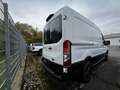 Ford Transit TRAIL 350L2 *RFK*GJR* Weiß - thumbnail 4