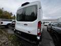 Ford Transit TRAIL 350L2 *RFK*GJR* Weiß - thumbnail 5