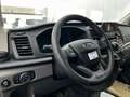 Ford Transit TRAIL 350L2 *RFK*GJR* Blanco - thumbnail 8