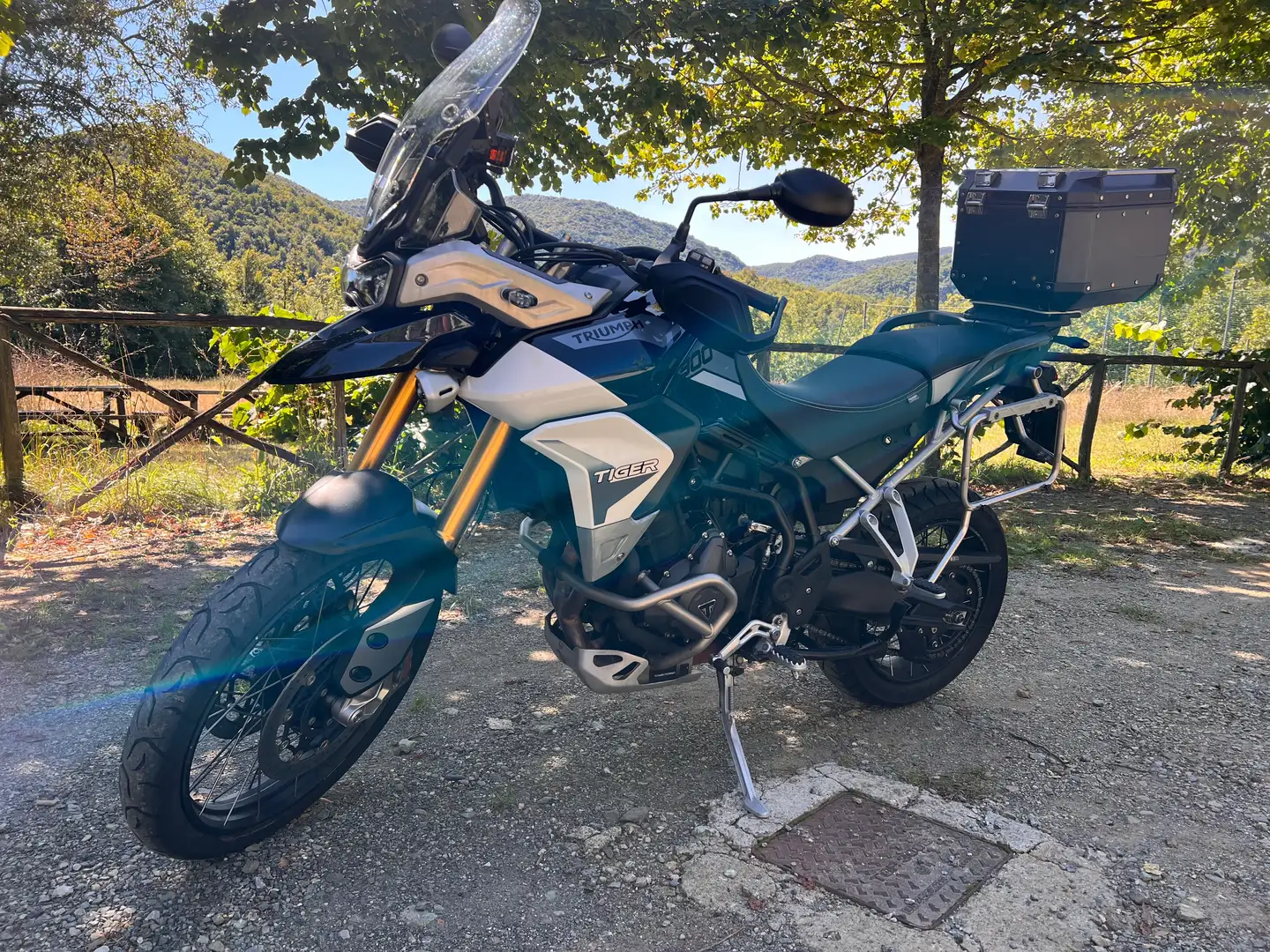 Triumph Tiger 900 Rally pro Negru - 1